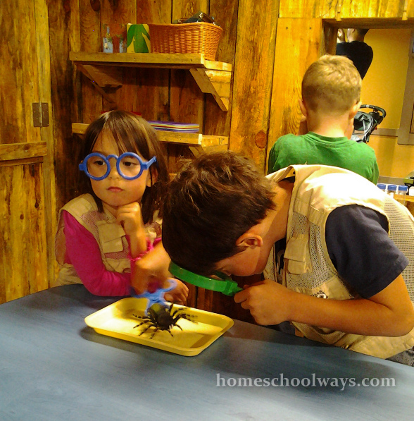 Boy and girl studying insects at the Zoo