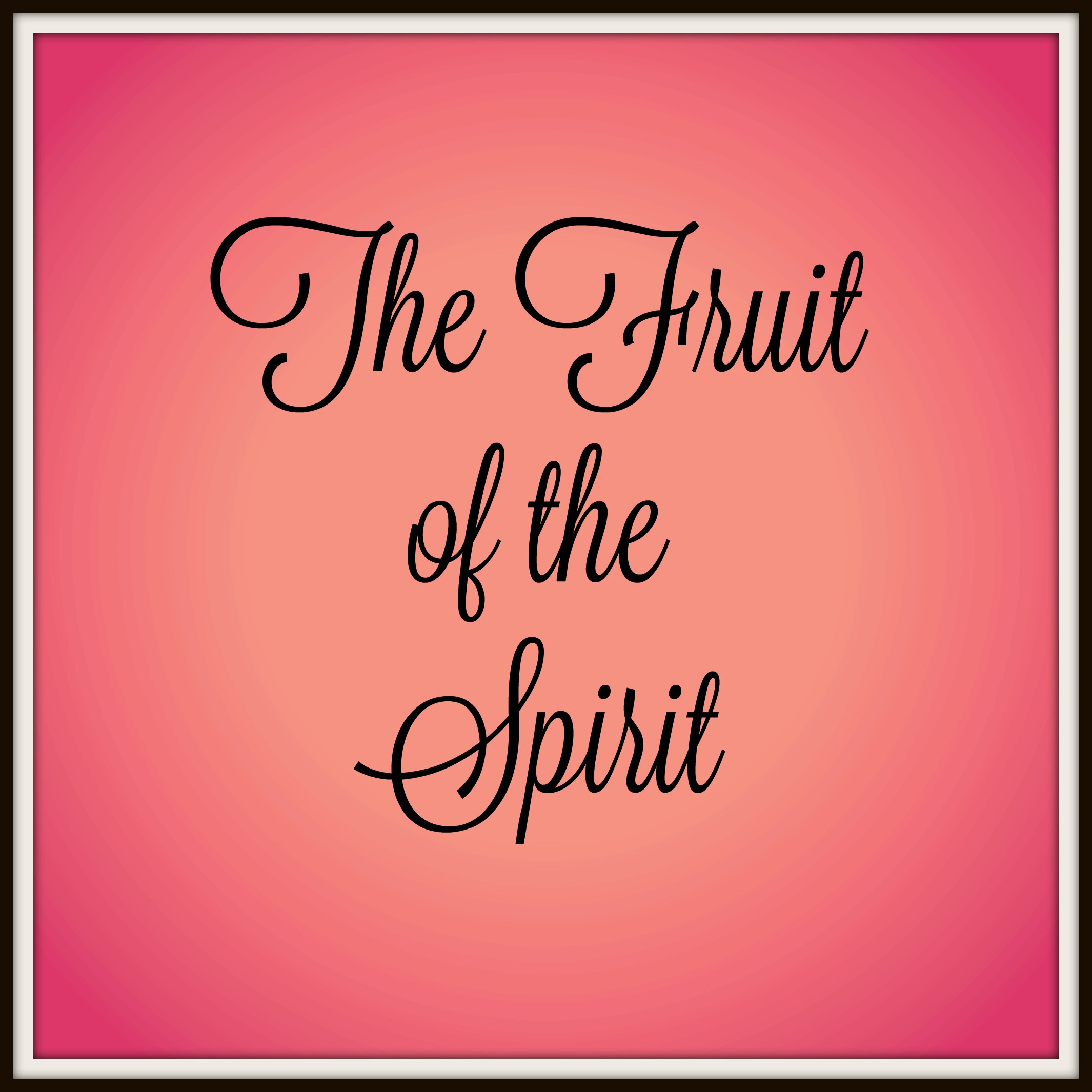 Write The Word Bible Journal  Fruit of the Spirit – The Daily Grace Co.