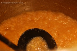 Applesauce cooking in pot