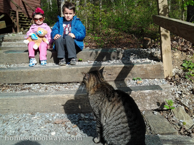 Children looking at a cat
