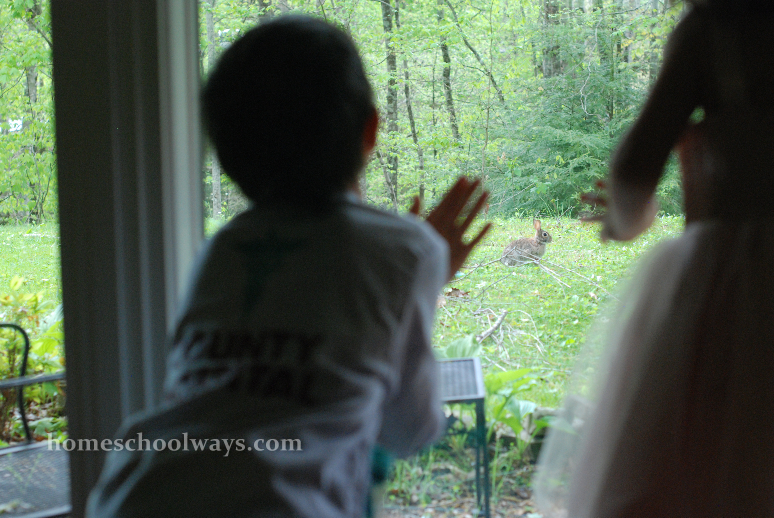 Kids watching a hare in our backyard