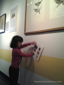 Girl looking for matches between her paper and the exhibits