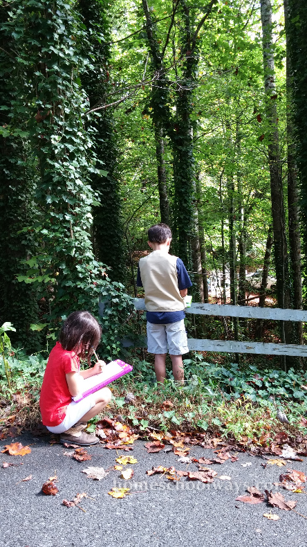 Boy and girl sketching in nature