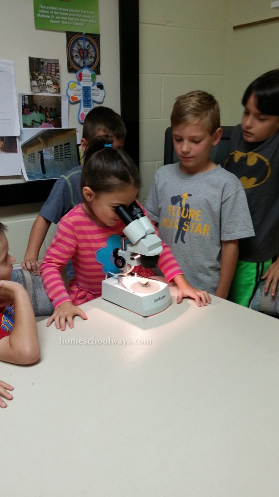 Children looking into a microscope