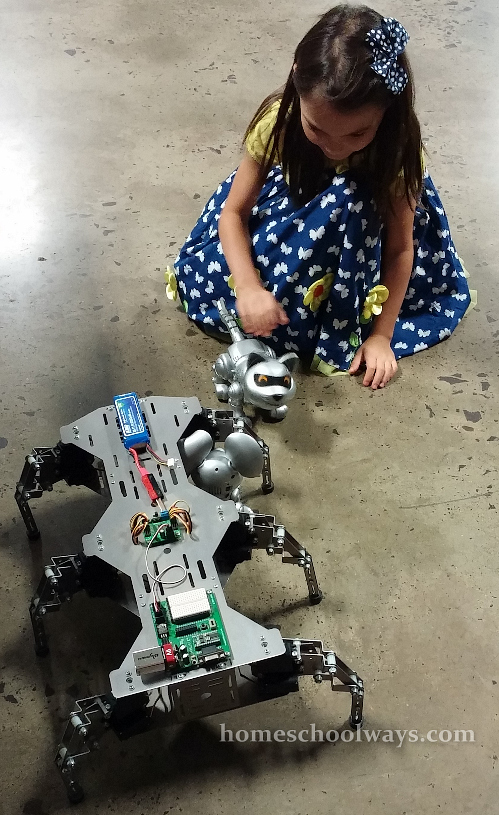 Girl plays with a robot kitty