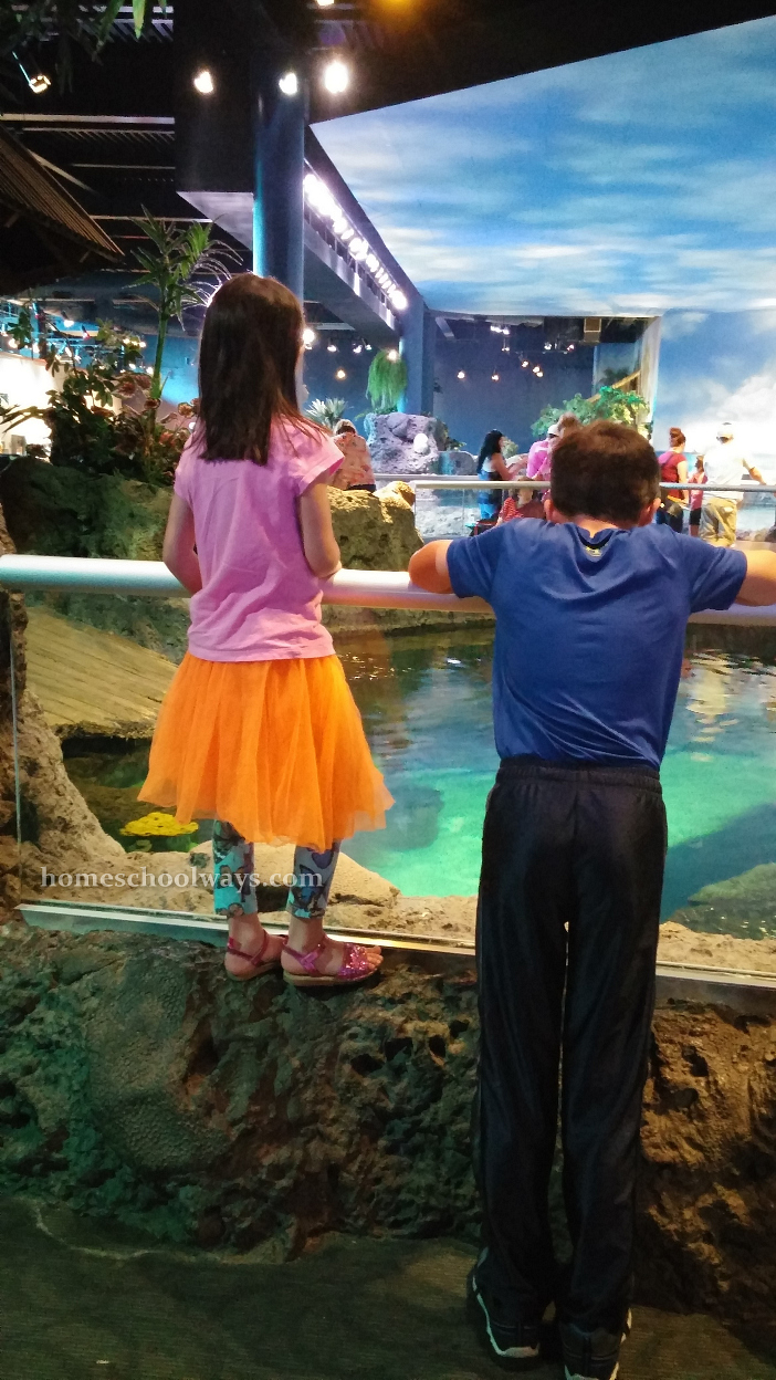 2016 Aquarium Science Classes Homeschool WaysHomeschool Ways