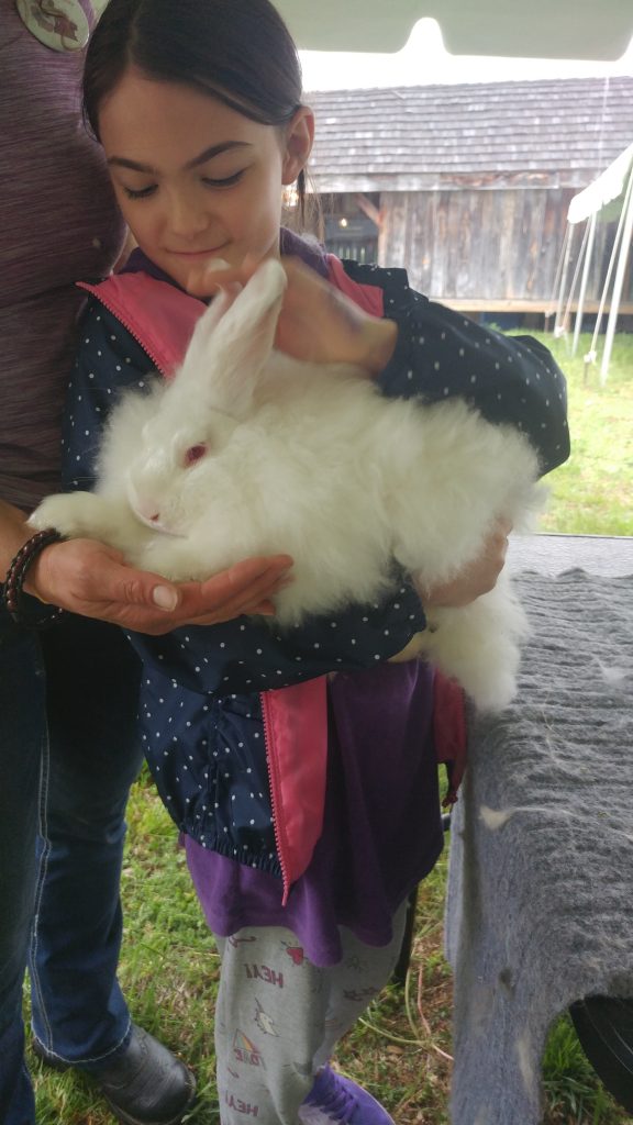 Girl holds Angora rabbit