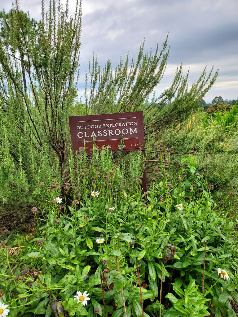 Outdoor exploration classroom