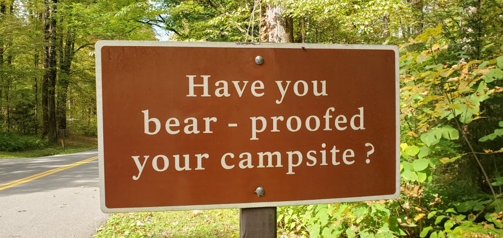 Bear-proof your campsite