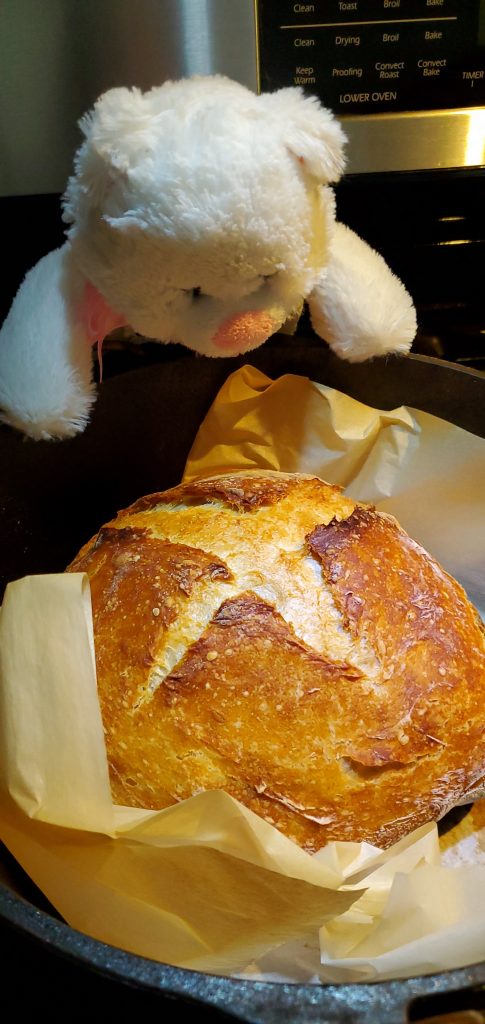 Teddybear admires bread
