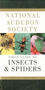 Insects and Spiders Audubon Field Guide