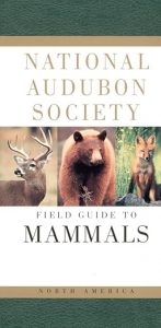 Mammals Field Guide